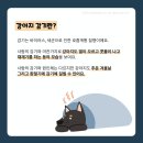 백석동물병원 이미지