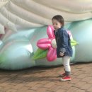 옹기목장 이미지