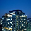 스테이 고집 이미지