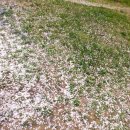 체육공원약수터 이미지