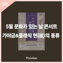 5월 문화가 있는 날 콘서트 - 가야금&클래식 현(絃)의 풍류 | 안동문화예술의전당[프리뷰] 5월 문화가 있는 날 콘서트 - 가야금&amp;클래식 '현(絃)의 풍류'