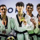 월드태권도 이미지