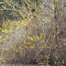 매화공인중개사사무소 이미지