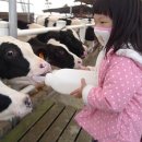 세연목장 이미지