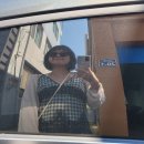 인춘당약국 | 남해 지족구거리 혼자여행 관광코스 카페 딱 정해드림