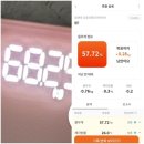 테피티 | 오뚜기 빌더? 한테 피티를 받아야 되는 이유