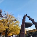 회관식당자판기 | ⛪️ 명동성당 가톨릭회관 구내식당 방문 후기