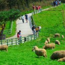 청암목장 이미지