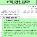 농촌진흥청발표-병해충발생정보 제16호 (2012.12.01~12.31) 이미지