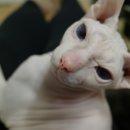 누리봄동물병원 이미지