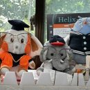 천안호서대안경원 이미지