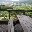 아지랑냉이랑 이미지