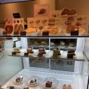 할리스은파유원지DI점 | [군산/할리스커피]은파유원지 넓고 쾌적한 카페 추천