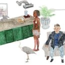 DMZ, 평화의 편지 네이버블로그