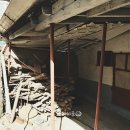 원원민박 이미지