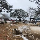 황토숯불닭갈비 이미지