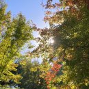 아침농장임실 이미지