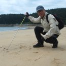 황골해변 이미지