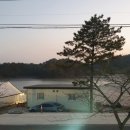 비토랑굴구이 이미지