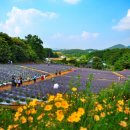 삼성강변타운 이미지