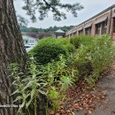 효자요양병원 이미지