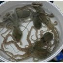 형수농장 이미지