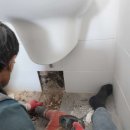 동탄중심상가2길 이미지