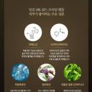 골드기획 네이버블로그
