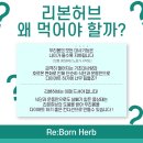 허브리본