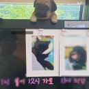 포포즈반려동물장례식장양주점