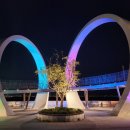 씨사이드 이미지