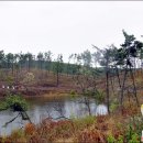 (4/21~22) 군산 구불길 1박2일 여행걷기 후기3 - 옥산저수지, 은파유원지 벚꽃, 간장게장 백반 등 이미지