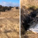 낙하목장 이미지