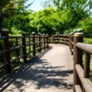 생태숲민박 이미지