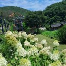 경주 한옥펜션 구토란