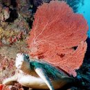 불로초등학교 이미지