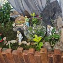 반디 | 하루의 여행, 전라도 무주 반디팜 다녀온 후기