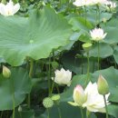 수경주유소 이미지