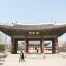 K의 해금 이미지