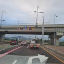 동막골민물장어 이미지