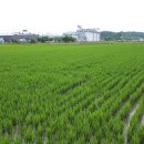 광양농협미곡종합처리장 이미지