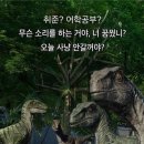 토마스의원 | 아쉬워도 정신 아프미가 된... <피키블라인더스: 불멸의 남자> 후기