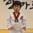 국가대표 경희대 키즈 태권도 이미지