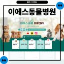 하단오거리 동물의료센터 | 동물 의료센터 아직도 브랜딩 안하셨나요 꼭 브랜딩 해야하는 이유