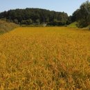 여주-0726 이미지