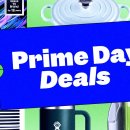 KIM PET SALON 이미지