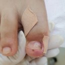 레푸스 평촌점 이미지