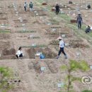 팔현농장 이미지