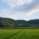 미리내 염소농장 이미지