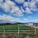 송마목장 이미지